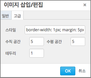 An image of the Insert image dialog box Advanced tab.